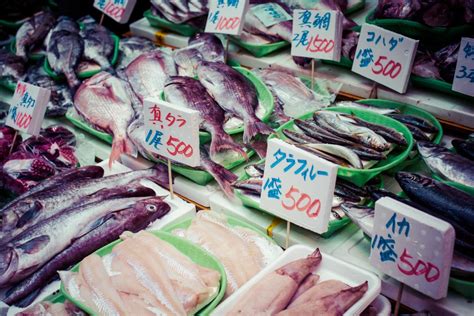 ライオンズ築地リバーノート：なぜ猫は魚市場で夢を見るのか？