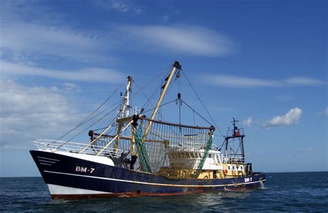 “O Navio de Pesca” – Uma Ode à Simplicidade Rústica e à Beleza Tranquila da Vida Marítima!