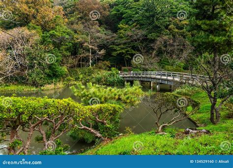 プリンセスガーデン横浜：夢と現実が交錯する都市の庭園